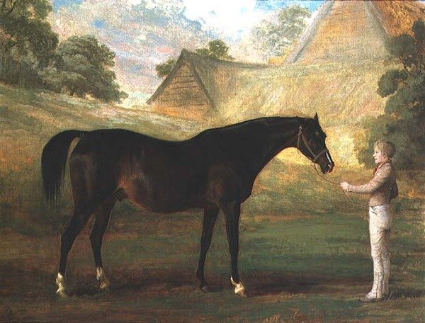 Foxglove, en Bay fuldblod af John (attr. to) Boultbee