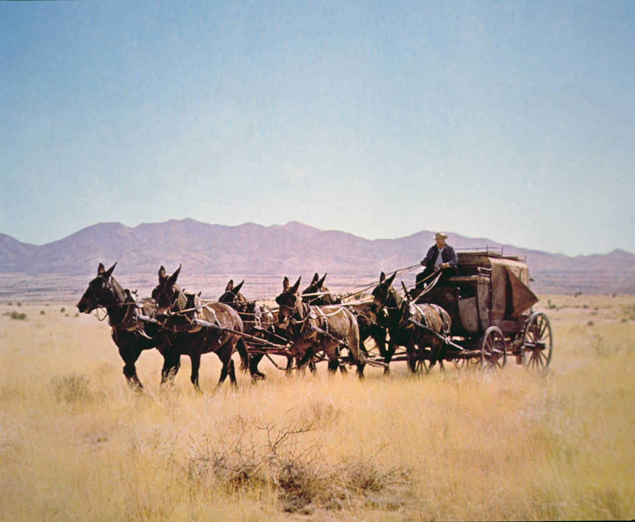Western Stagecoach trukket af et hold med seks muldyr (foto) af Walter Charles Mills