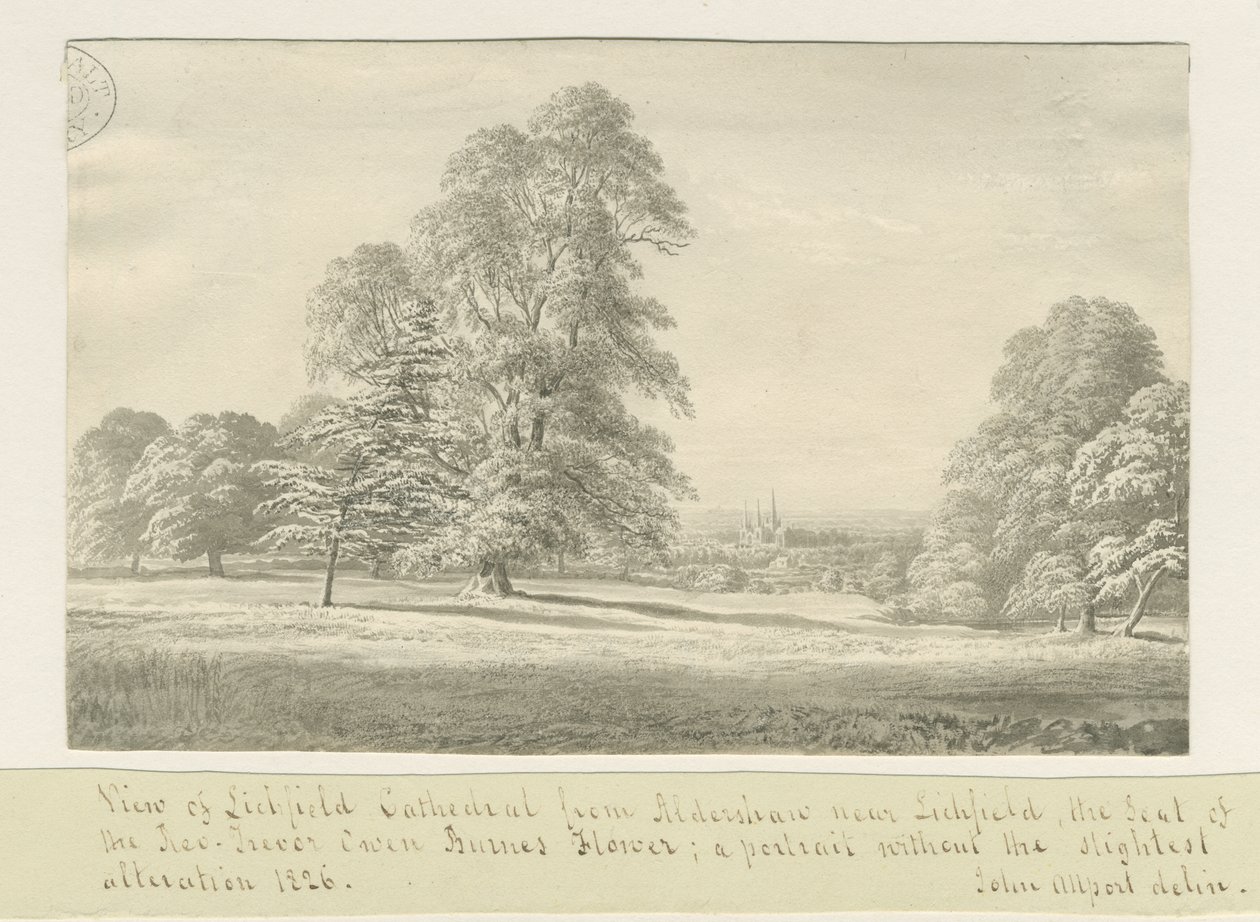 Lichfield Cathedral - Udsigt fra Aldershaw (fjern): sepia-tegning af John Allport