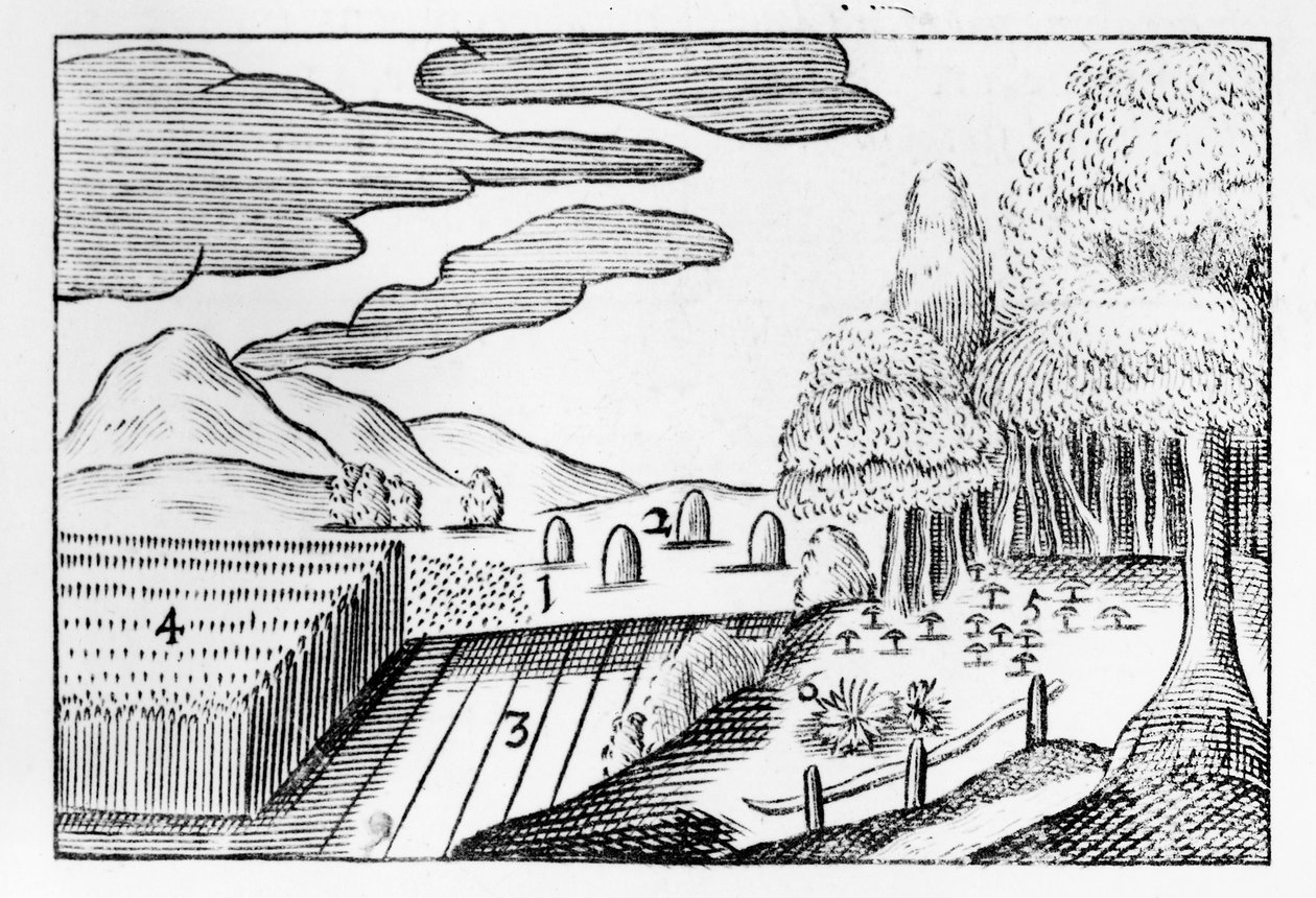 Jordens frugter, 1658 af John Amos Comenius