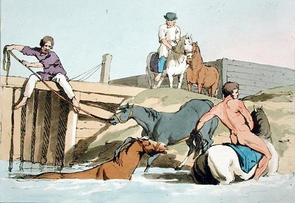 Badende heste, ætset af kunstneren, udgivet 1803 (farvelitografi) af John Augustus Atkinson
