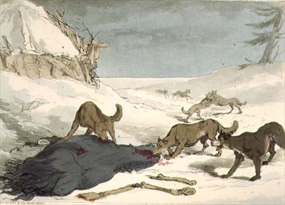 Ulvejagten, plade 74 fra bind III af 