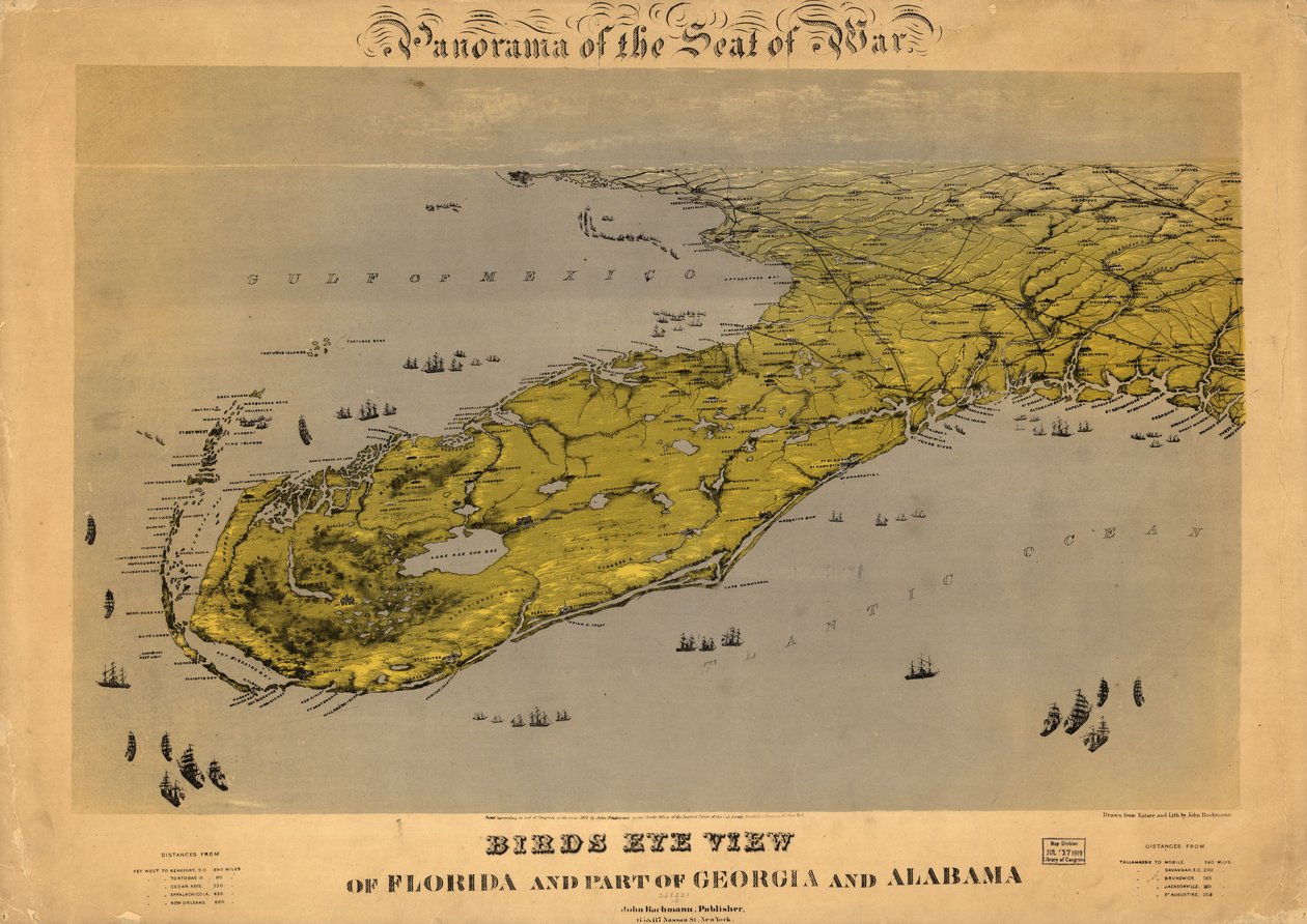 Fugleperspektiv over Florida og en del af Georgia og Alabama LOC 99447266 af John Bachmann