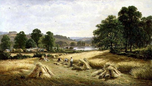 Indsamling af det gyldne korn nær Bishopsteignton, Plymouth af John Barrett