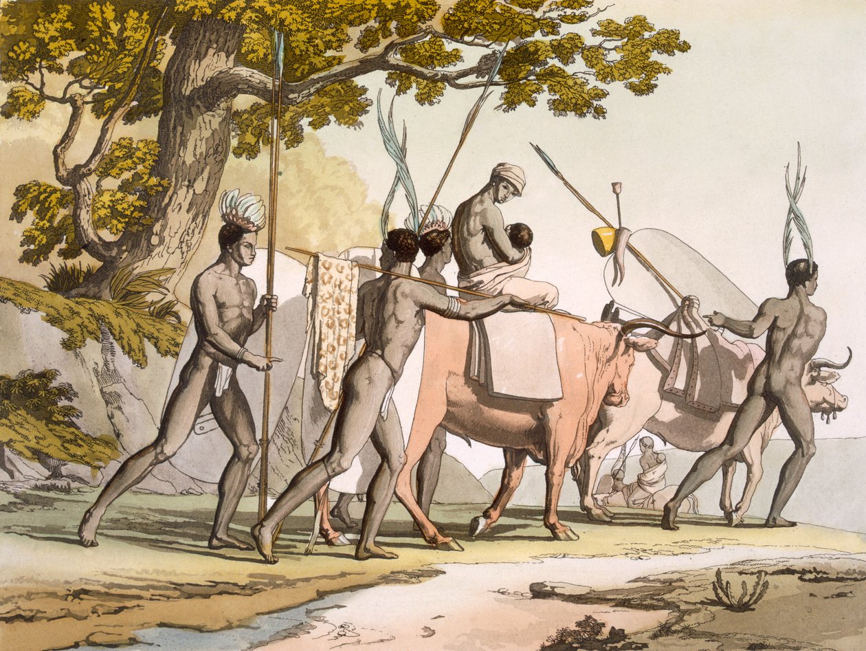 Vol II Pl.55 Korah Hottentots of the Cape on the move, fra 