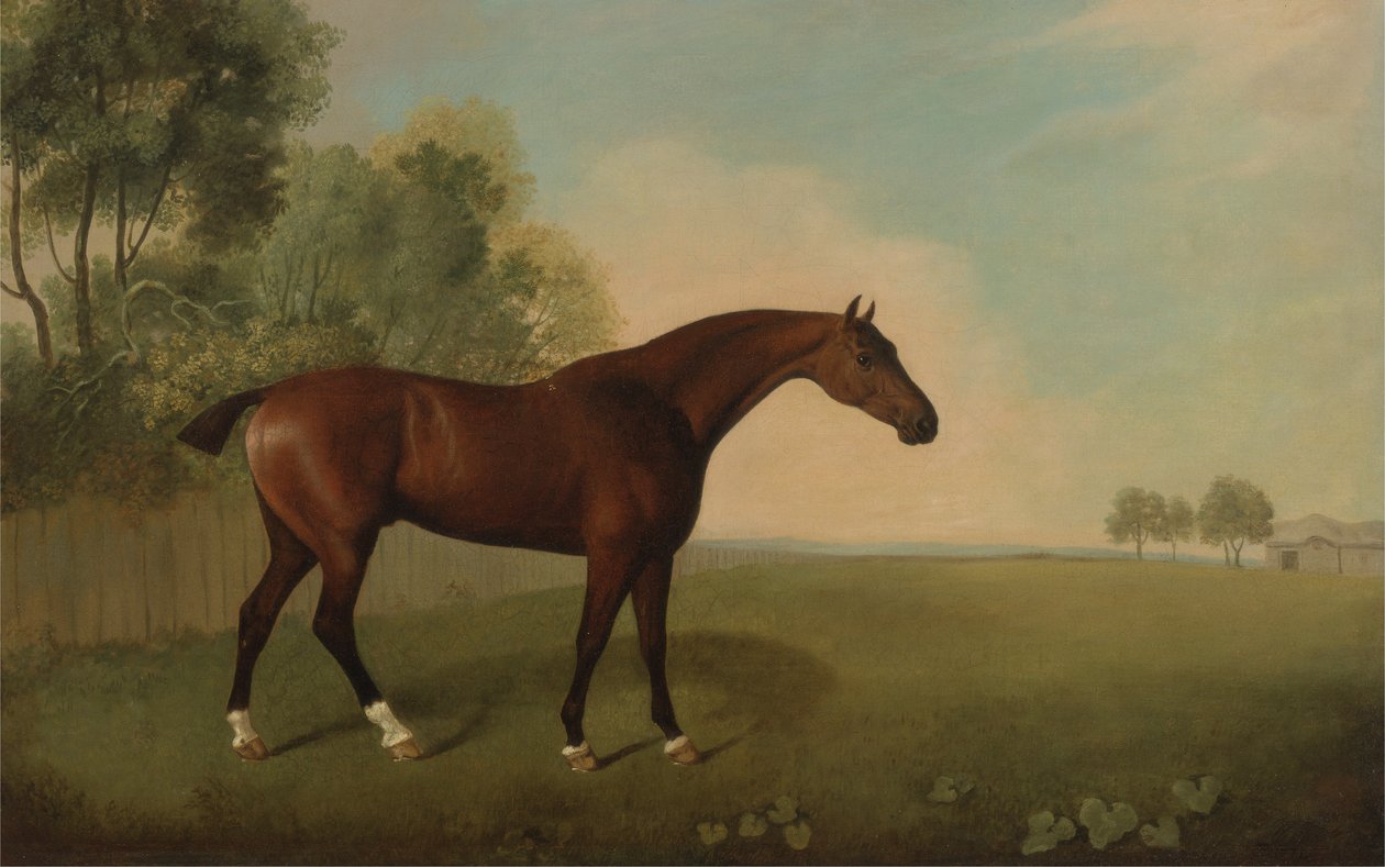 A Bay Horse in a Field, 1778 af John Boultbee