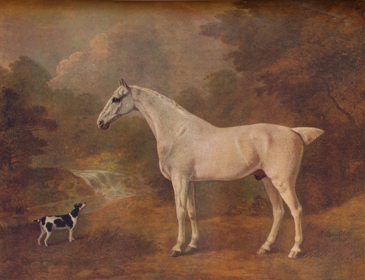 En loppebidt grå og en plettet terrier, 1803. af John Boultbee