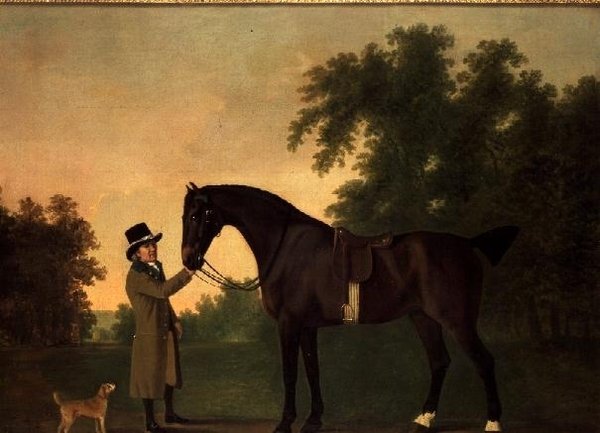 Portræt af Edward Wilmot Esq med Bay Hunter og Terrier i Stubton Park af John Boultbee