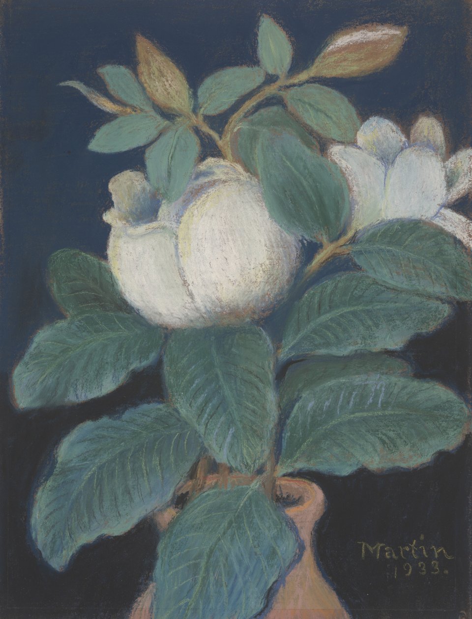 Magnolia Blossoms, 1933dani af John Breckinridge Martin