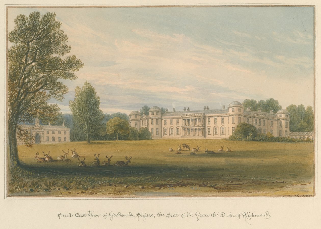 Sussex - Goodwood, 1825 af John Buckler