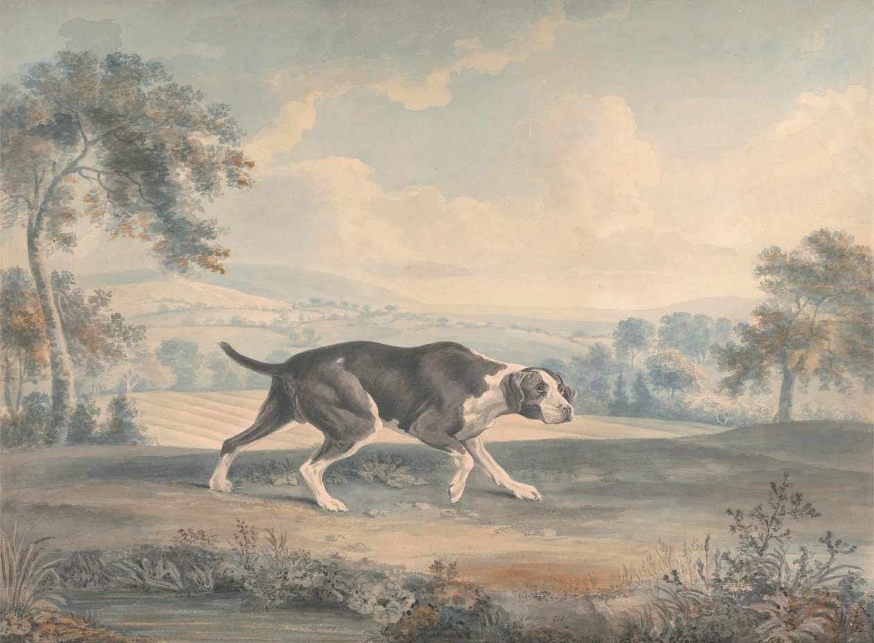 Den spanske pointer af John Buckler FSA