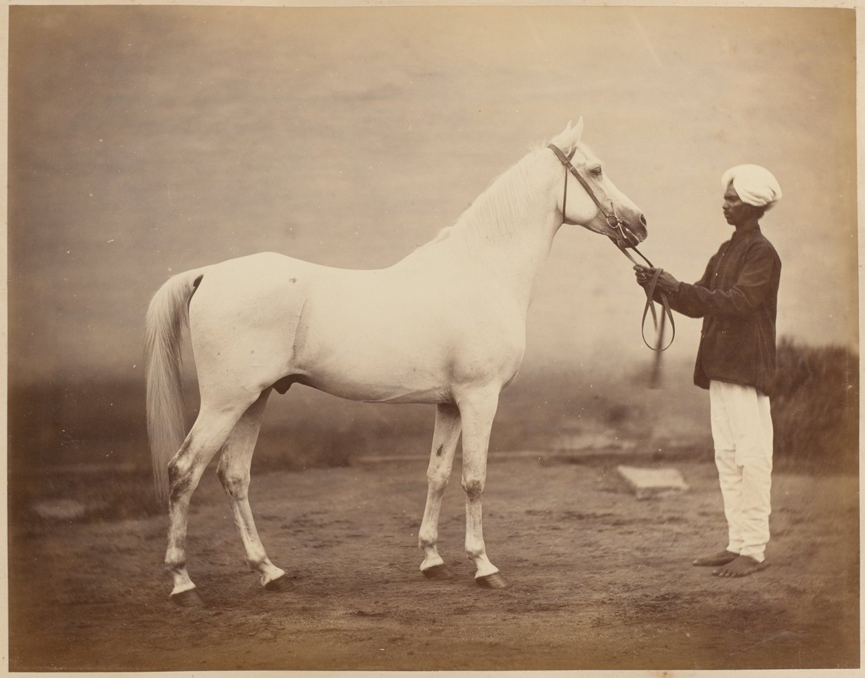 Generalløjtnant Sir Frederick Sleigh Roberts hest, "Vonolel", 1885 ca. af John Burke
