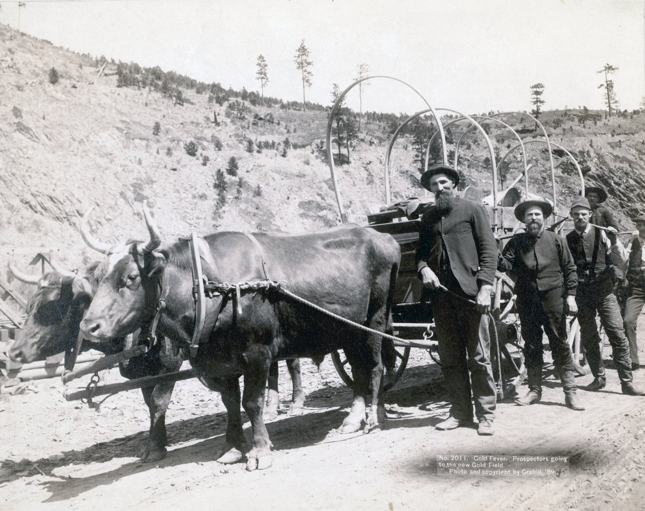 Guldfeber i South Dakota af John C. H. Grabill