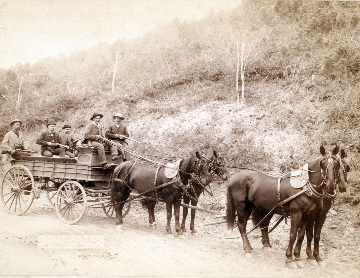 Wells Fargo Express, 1890 af John C. H. Grabill