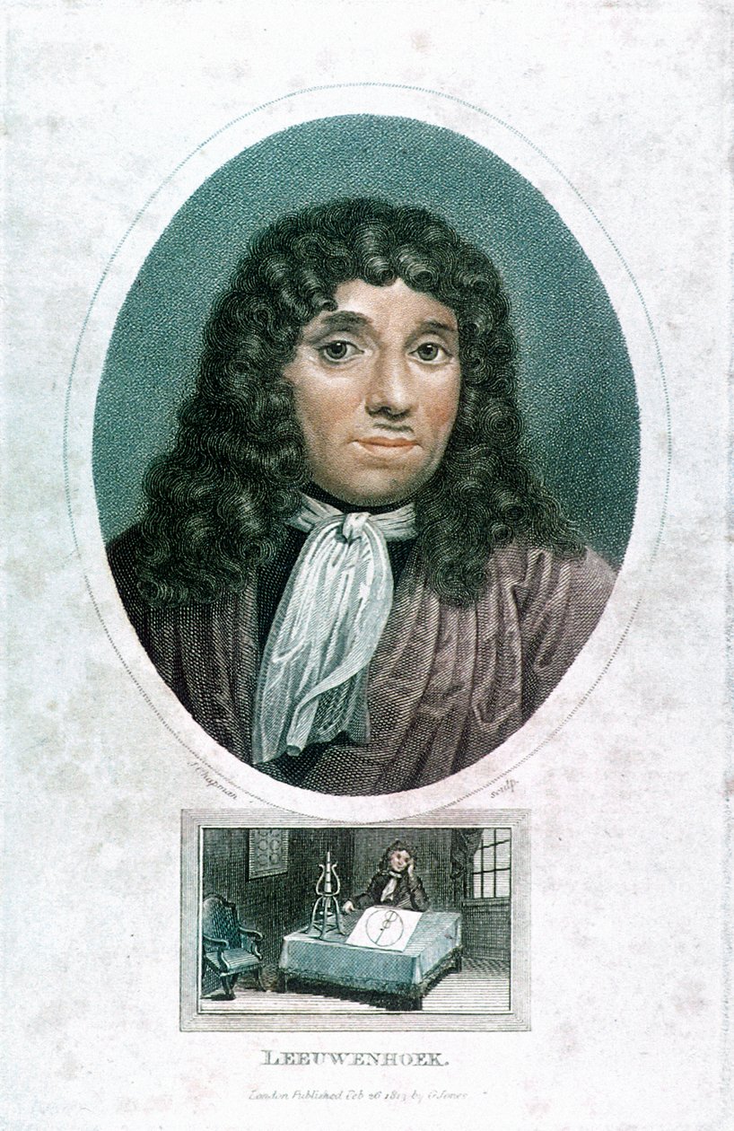 Anton van Leeuwenhoek 1632-1723, hollandsk mikroskopist, c1810 af John Chapman