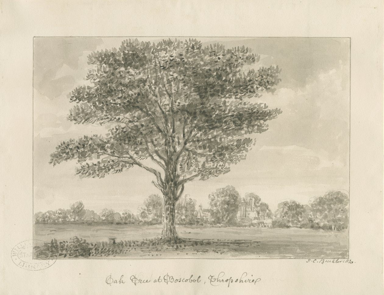 Boscobel - The Royal Oak: sepia drawing, 1820dani af John Chessell Buckler