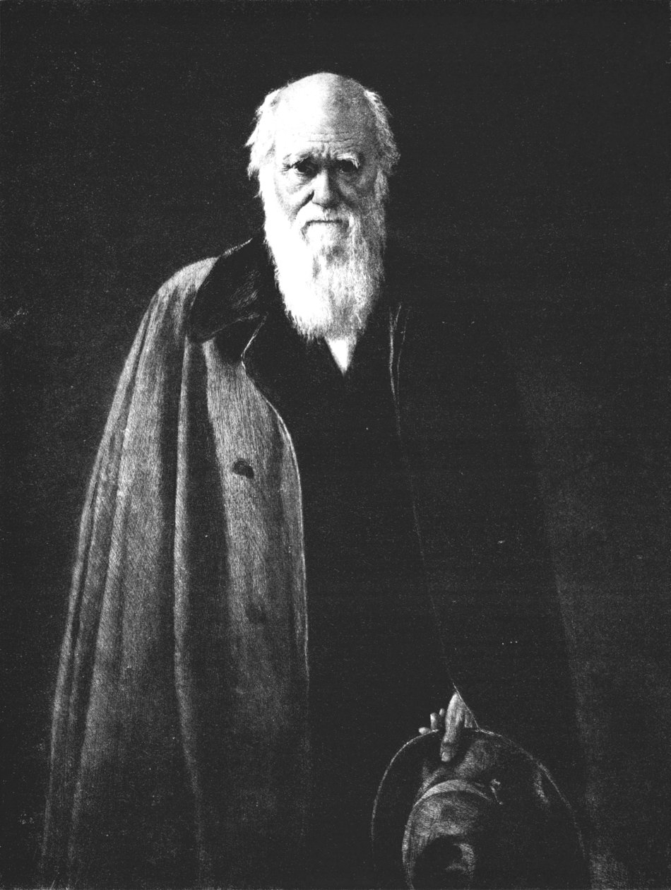 Charles Darwin 1809-1882, 1883, 1912 af John Collier