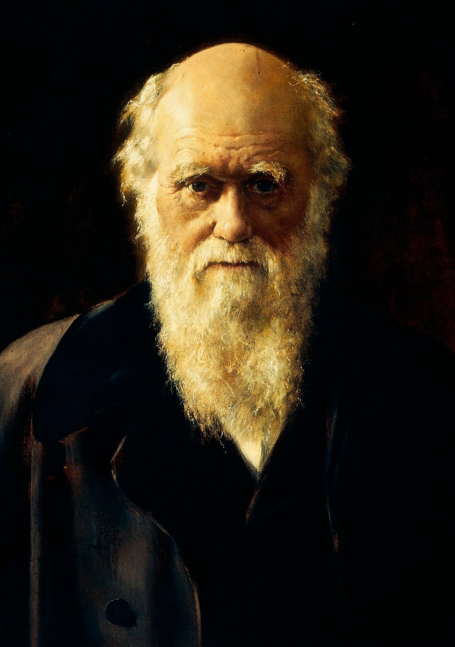 Portræt af Charles Darwin af John Collier