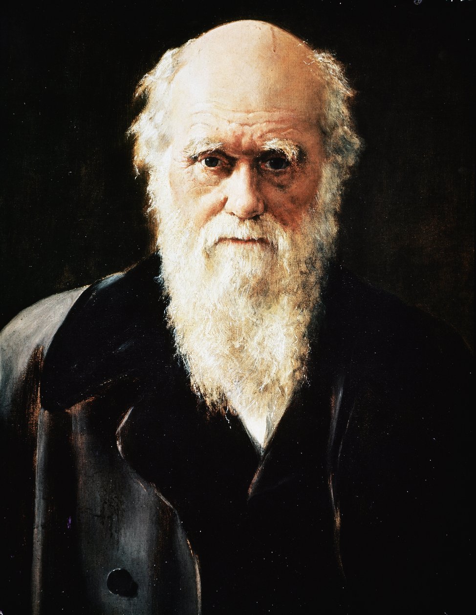 Portræt af den engelske naturforsker Charles Darwin, detalje (olie på lærred af John Collier