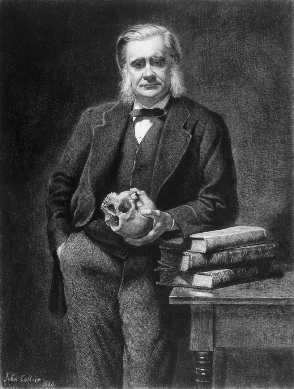 Thomas Henry Huxley (1825-95) ætset af Leopold Flameng (1831-1911) 1885 af John Collier