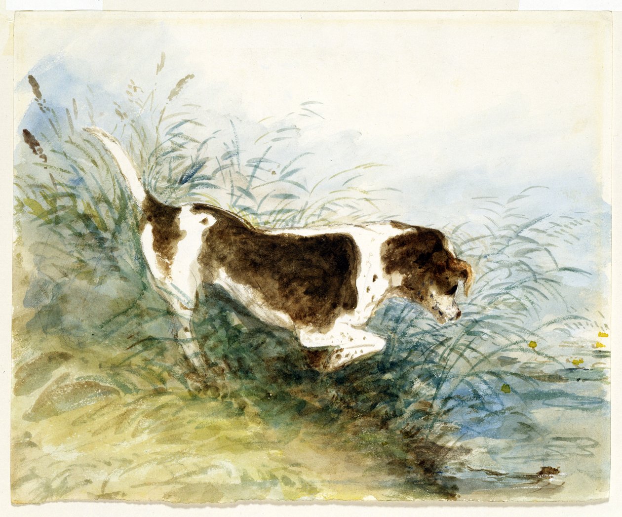 En hund ser på en rotte i vandet - Dedham, malet 1831 af John Constable