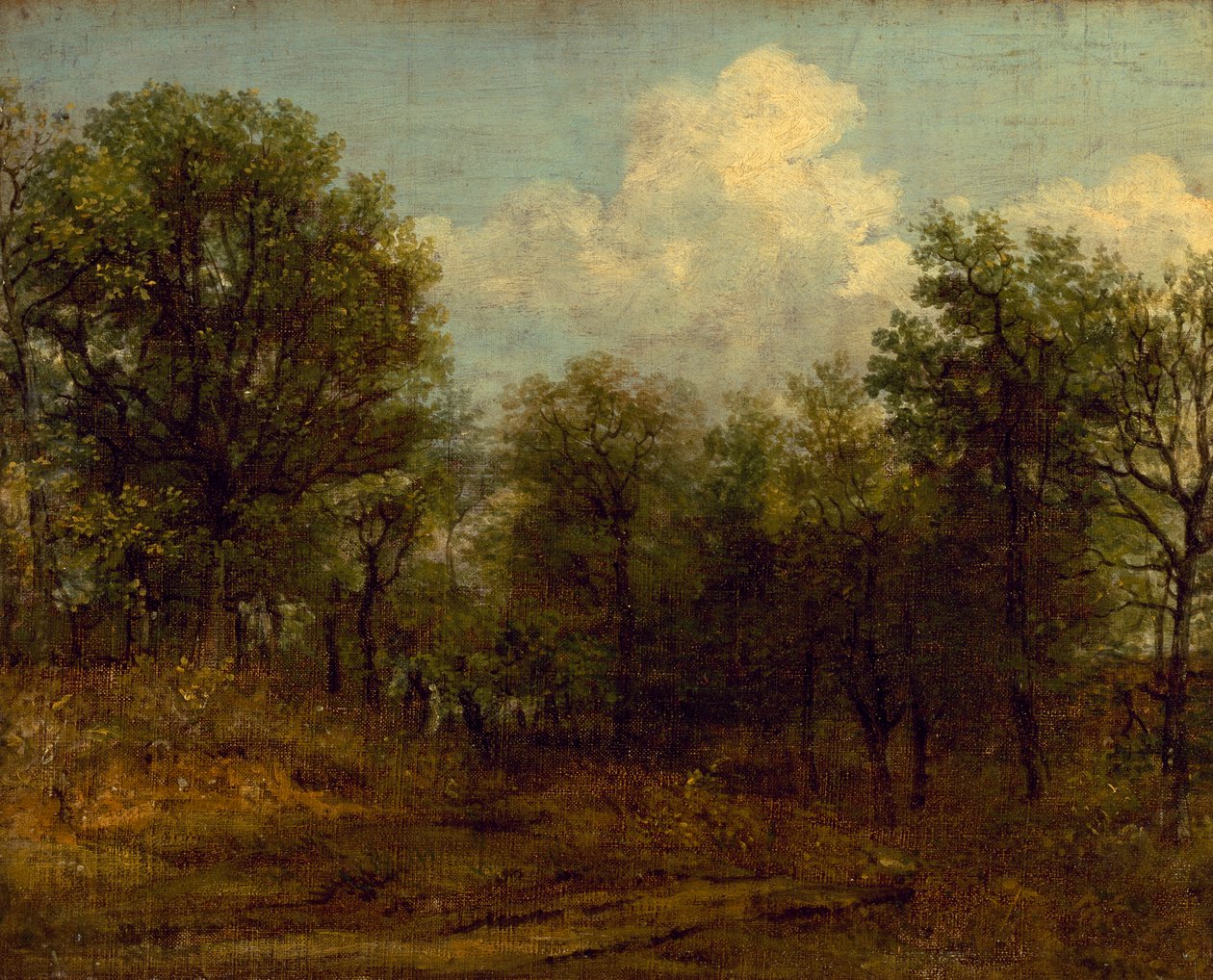 Et træ (oliemaleri) af John Constable