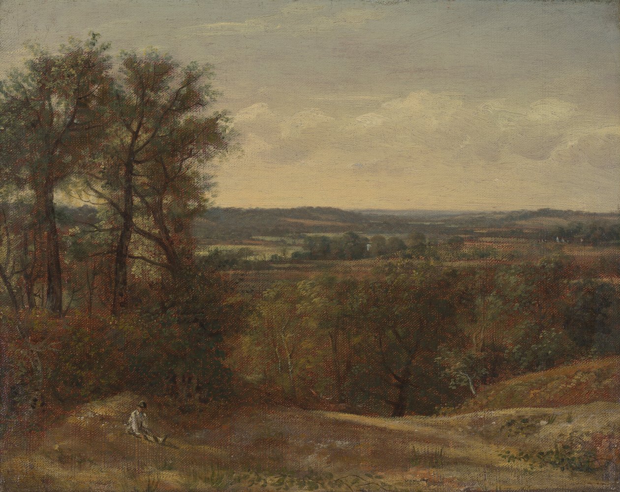 Dadham Wale af John Constable