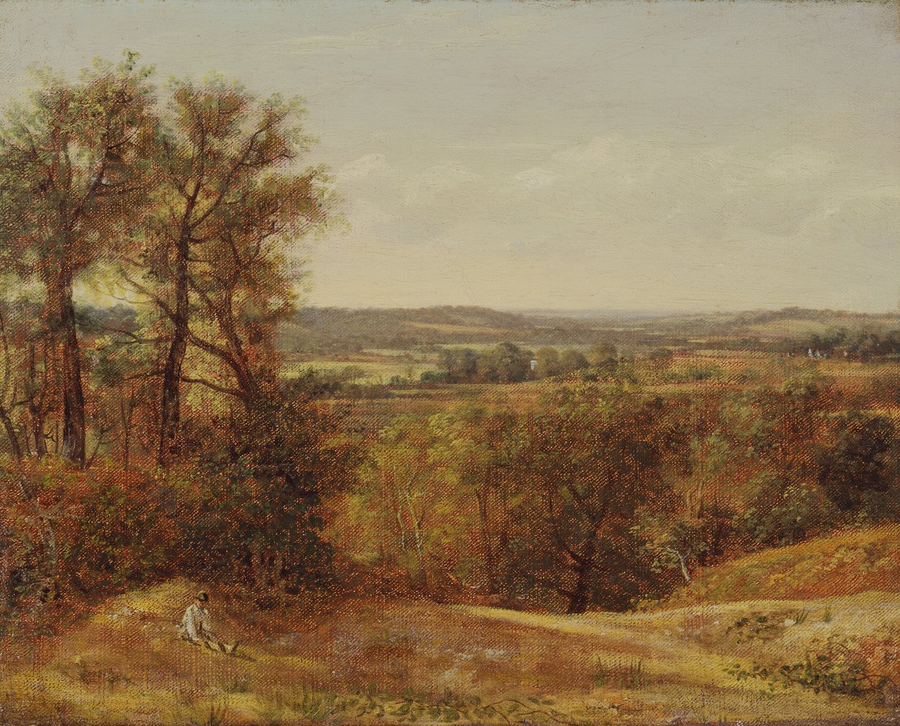Dadham Wale, 1802. af John Constable