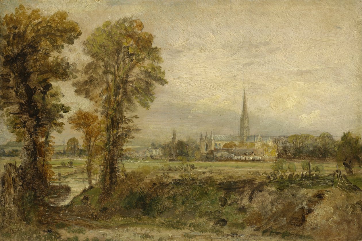 Fjernsyn over Salisbury Cathedral, 1821 af John Constable