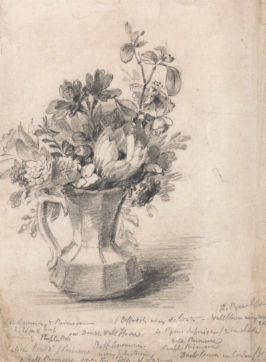 Blomster i en kande af John Constable