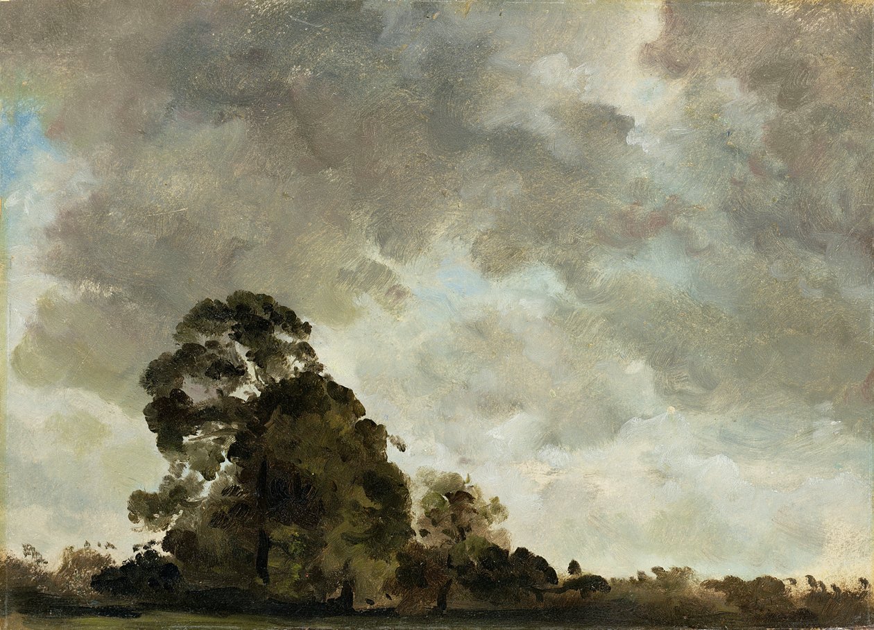 Landskab ved Hampstead, Tree and Storm Clouds, ca. 1821 (olie på papir fastgjort på panel) af John Constable
