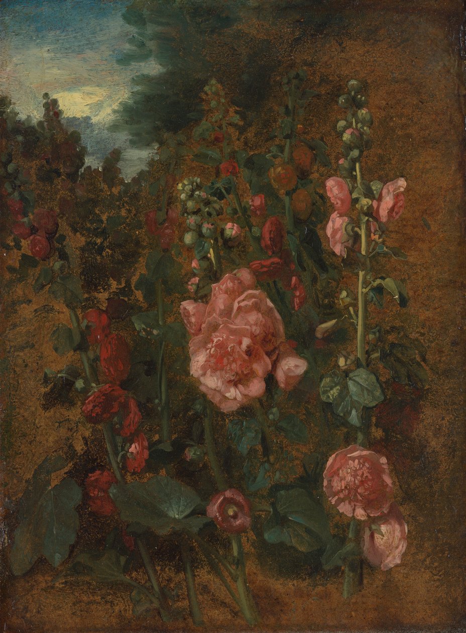 Studie af stokroser af John Constable