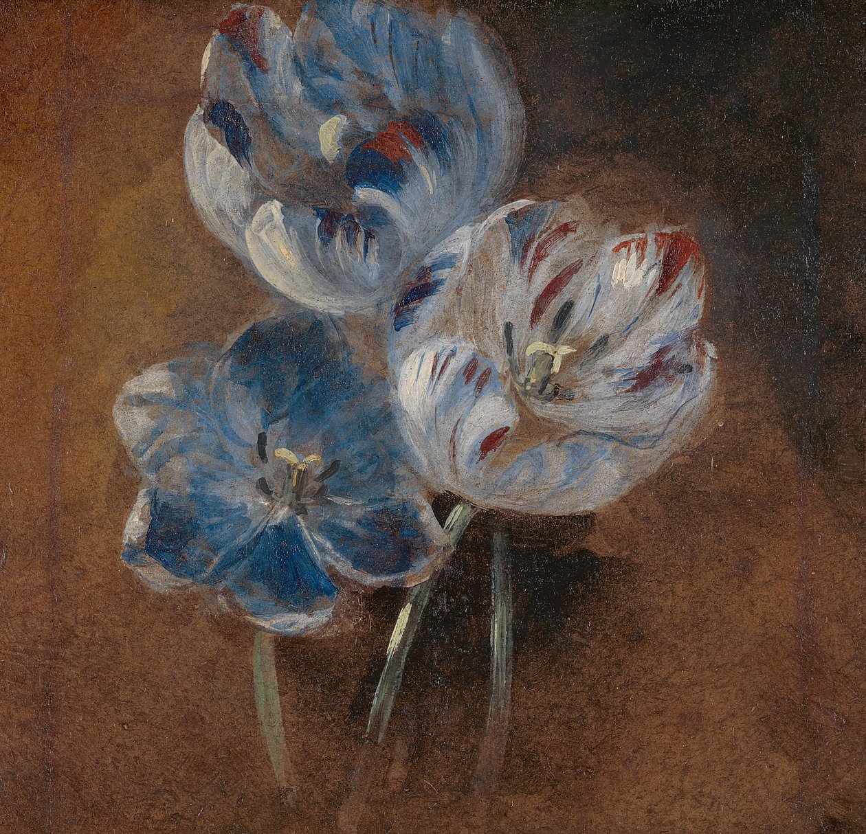 Studie af tre papegøje-tulipaner, ca. 1832. af John Constable