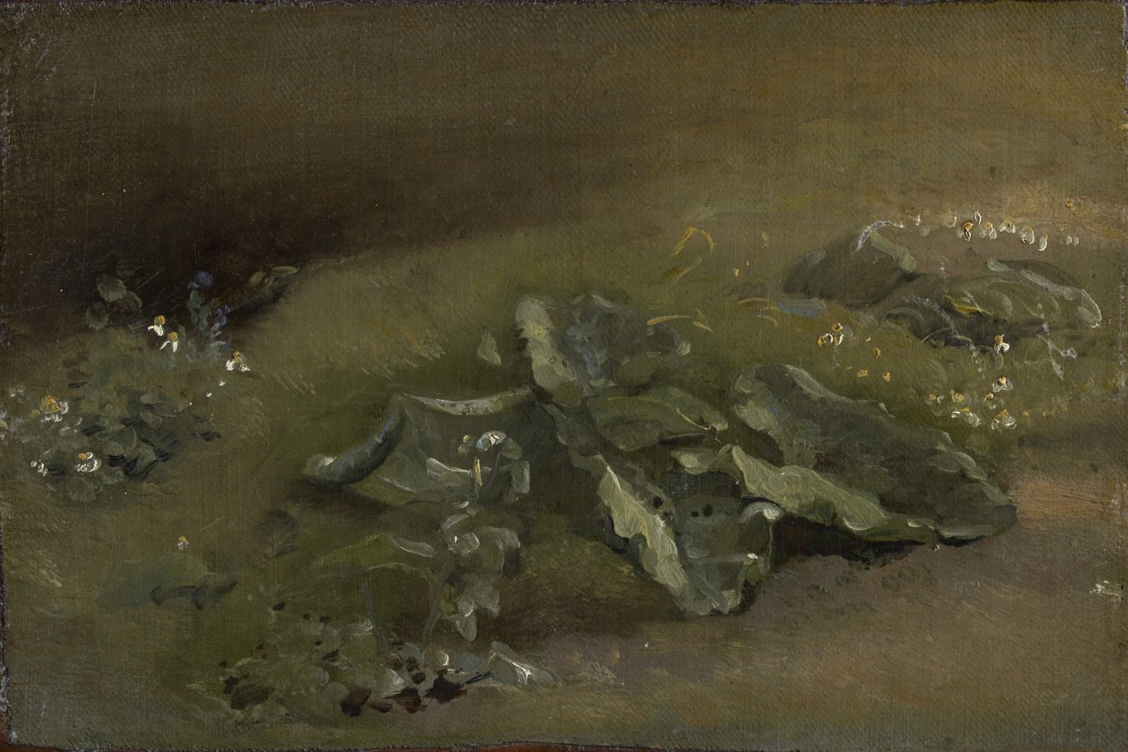 Studie af en burre, ca. 1810-14 eller ca. 1828 af John Constable