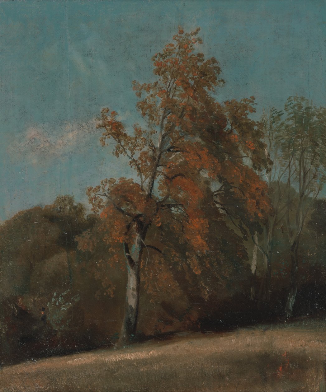Studie af et asketræ mellem 1801 og 1803 eller mellem 1810 og 1830. af John Constable