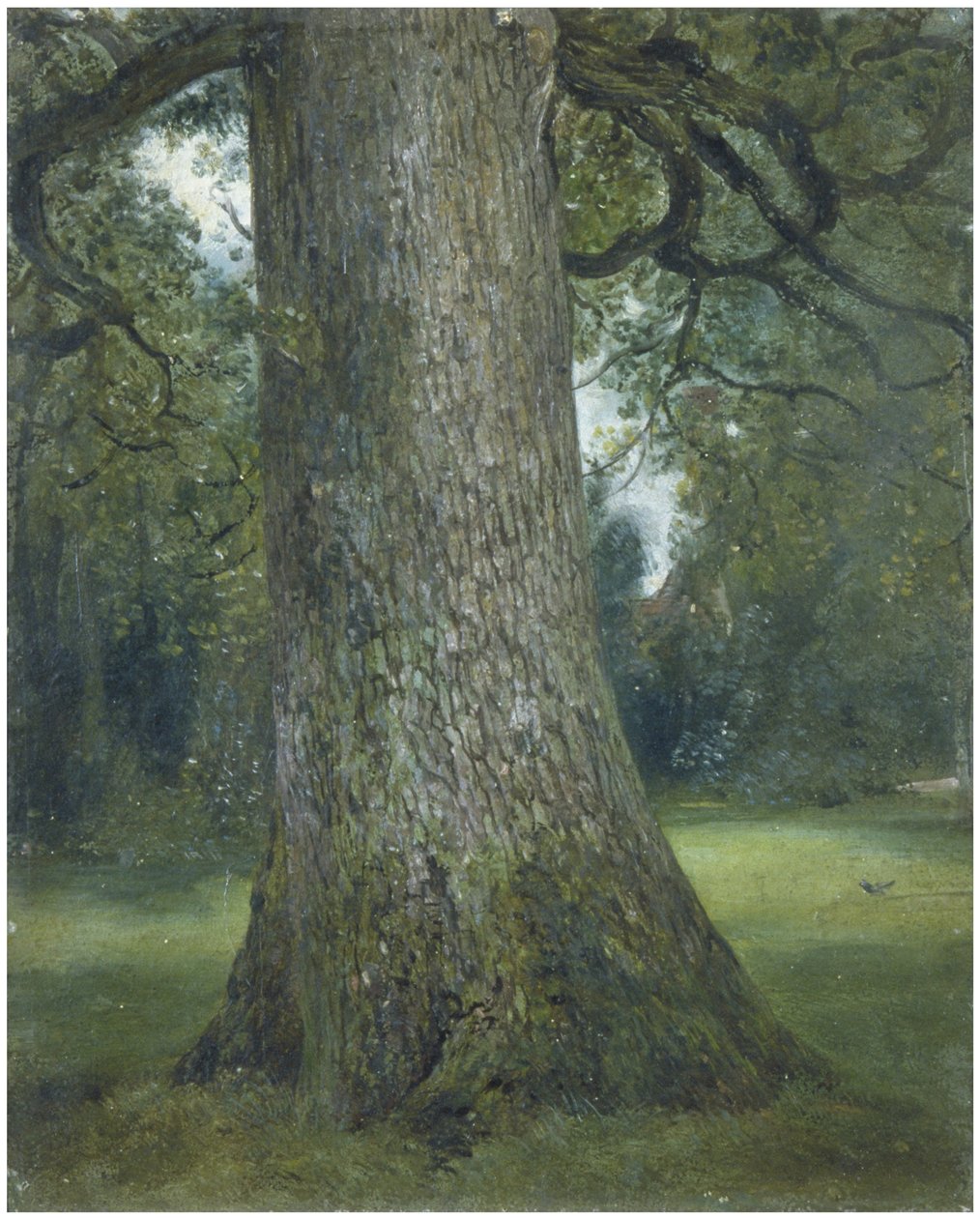 Studie af stammen af et elmetræ, ca. 1824 af John Constable