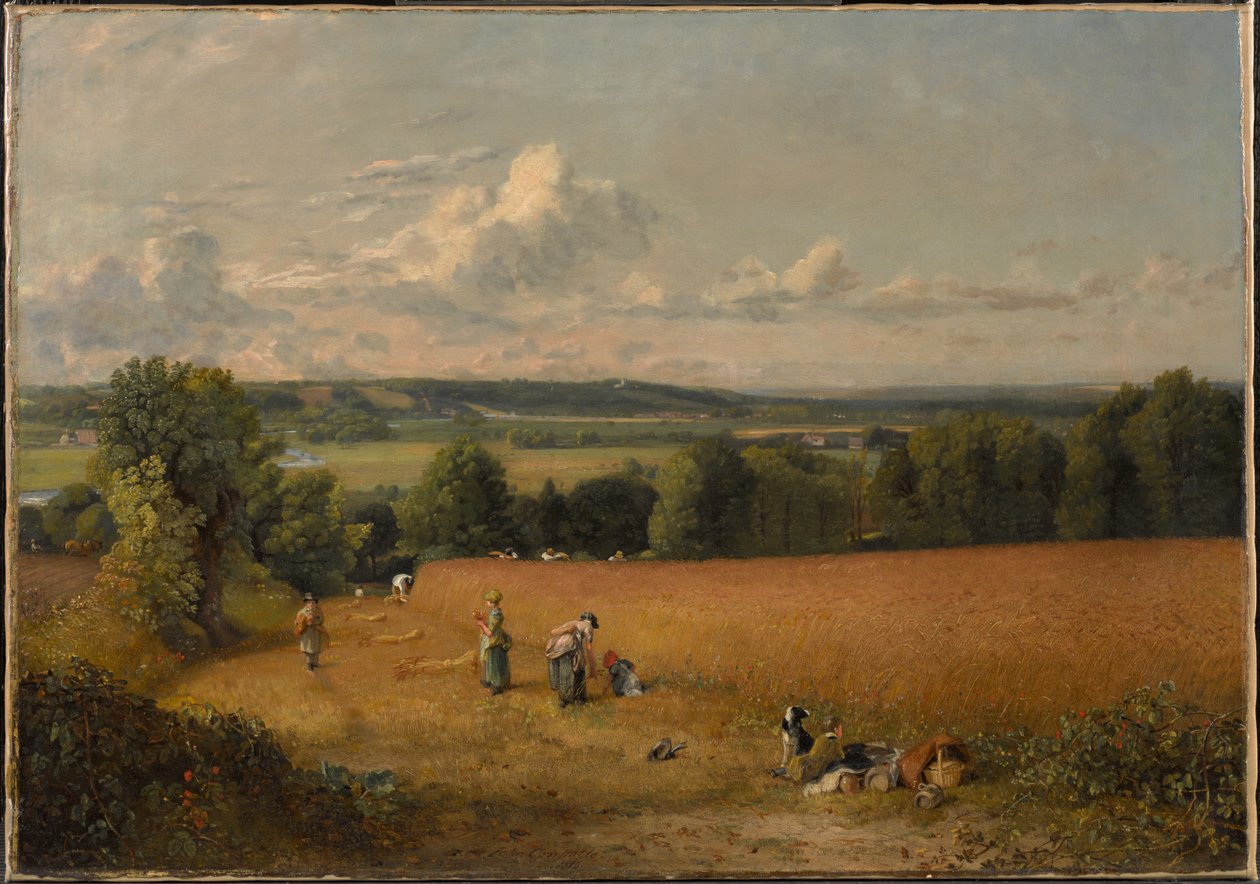 Hvedemarken af John Constable