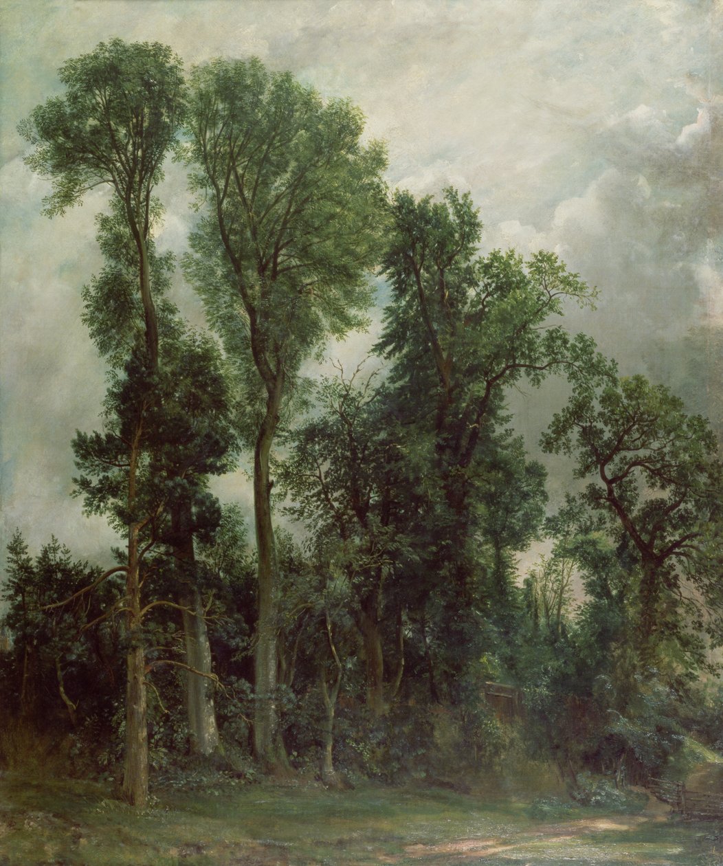 Træer ved Hampstead af John Constable