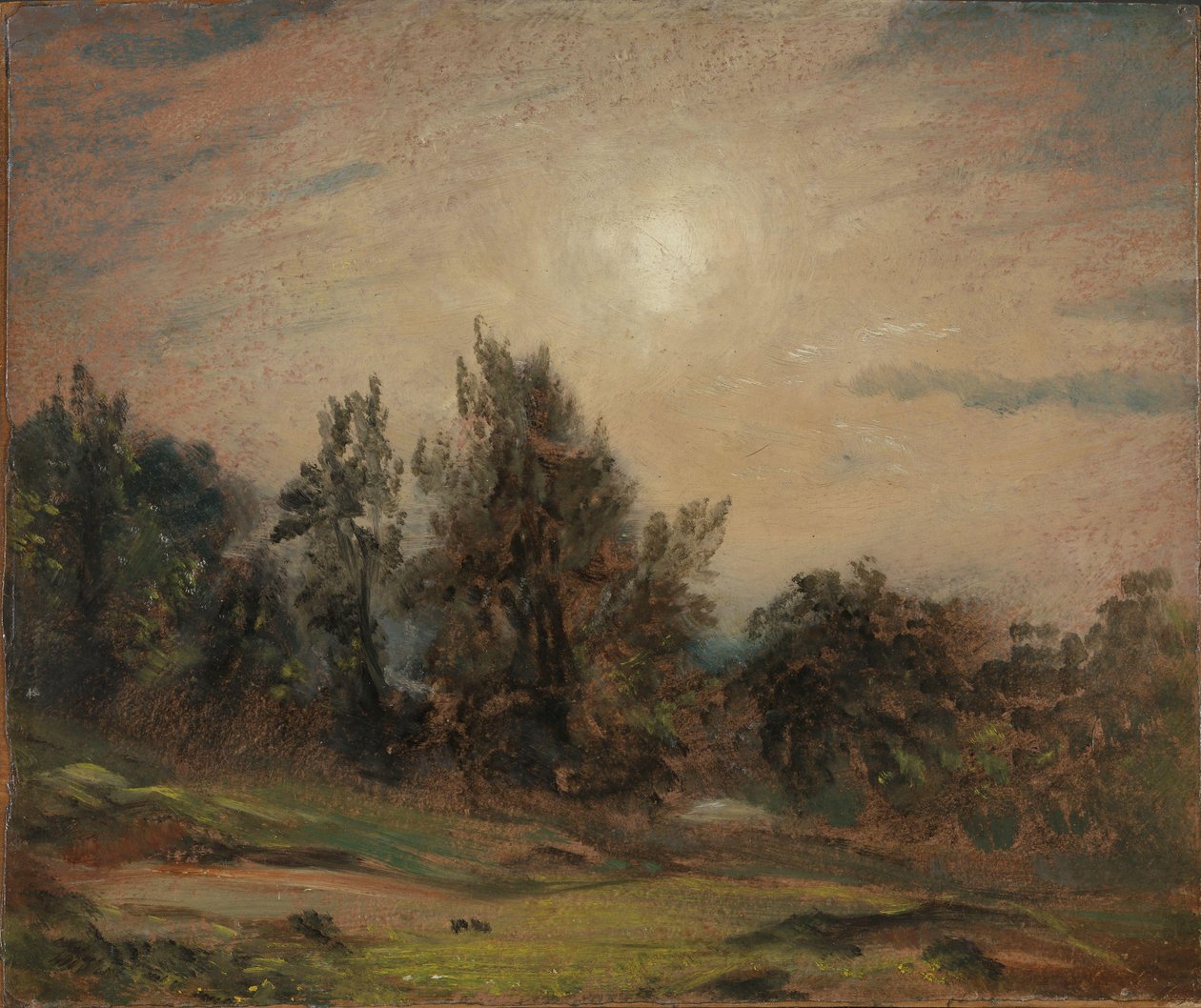 Træer på Hampstead Heath af John Constable