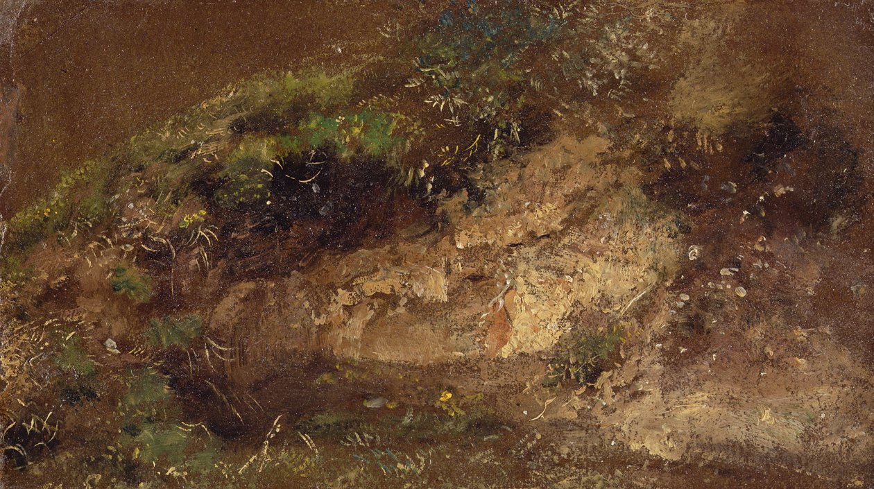 Underskov, ca. 1821 (olie på papir om bord) af John Constable