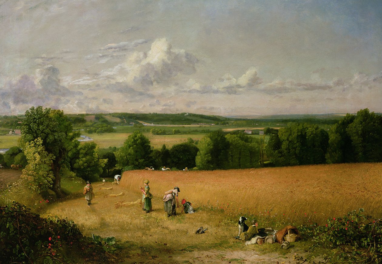 Hvedemark af John Constable