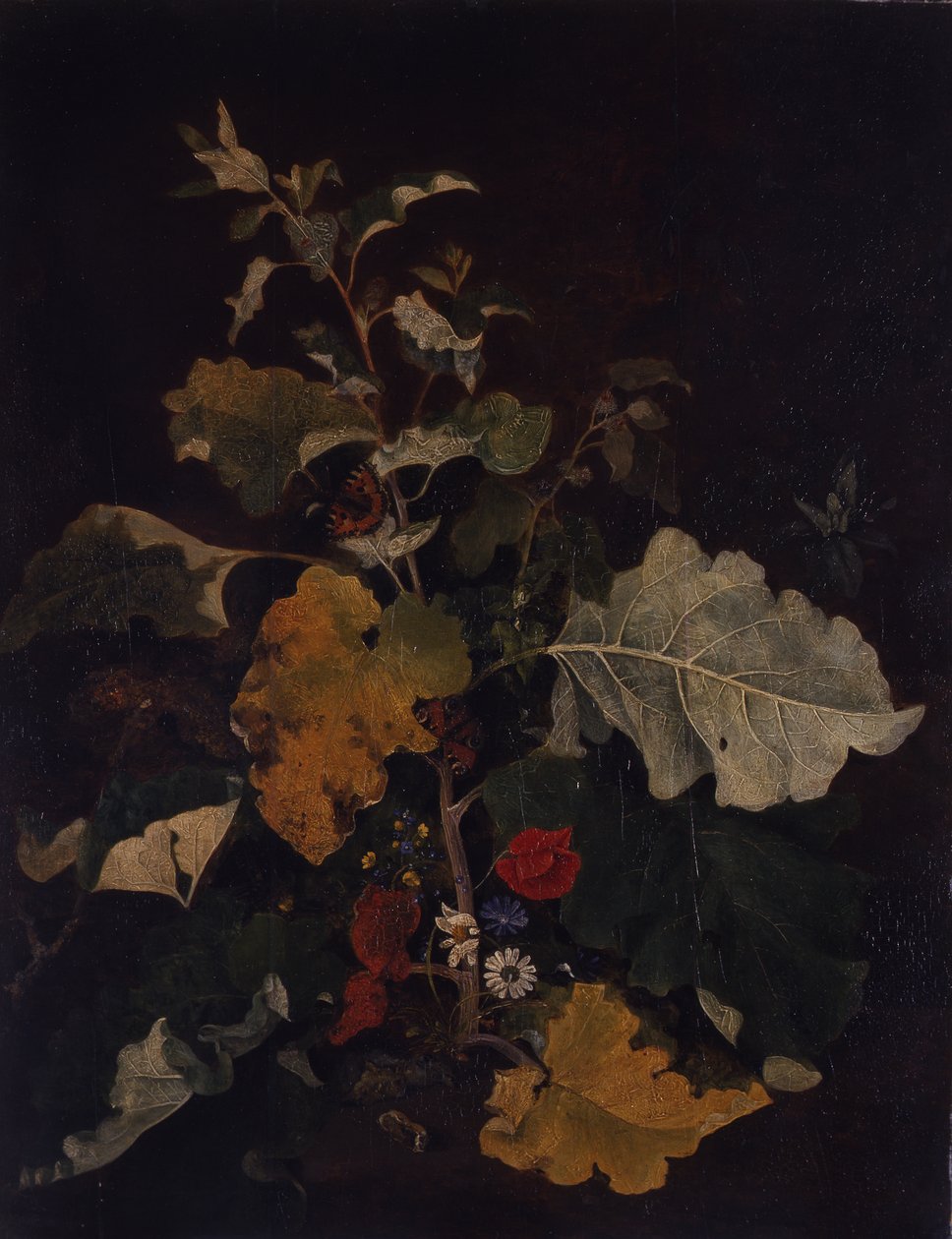 Studie af en burre af John Crome