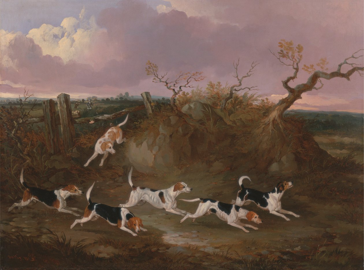 Beagles i fuldt gråd af John Dalby