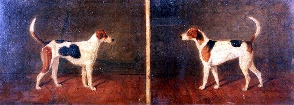 To Foxhounds i interiør af John Dalby