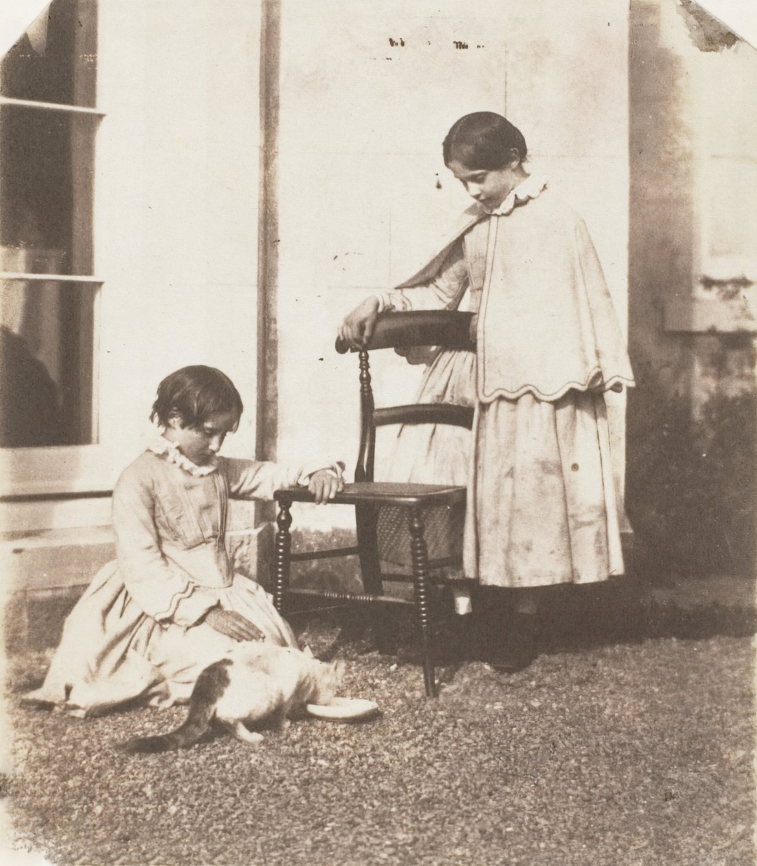 Foder stakkels pus, 1853-56. af John Dillwyn Llewelyn