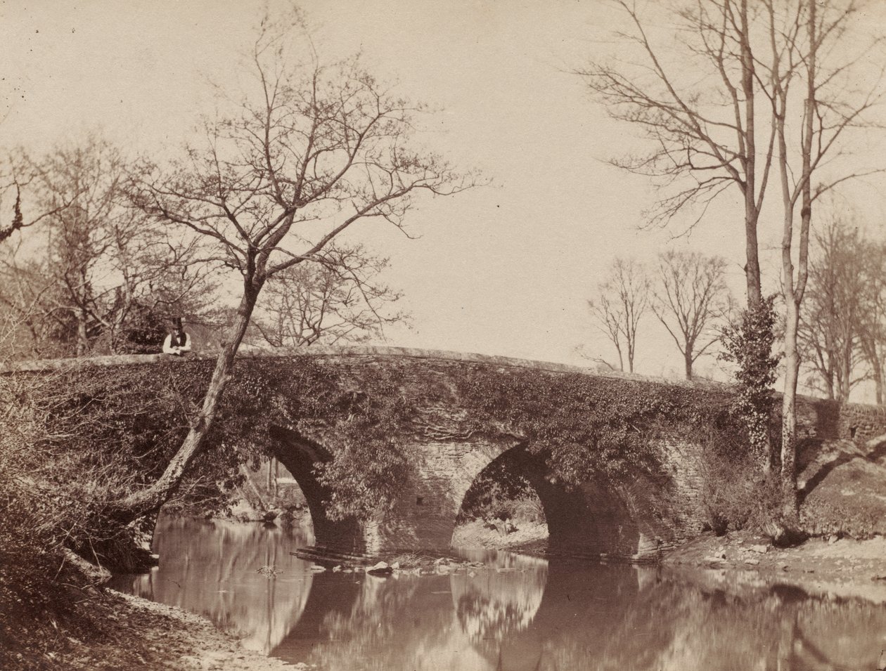 The Country Bridge (Staplylton Bridge, Bristol) af John Dillwyn Llewelyn
