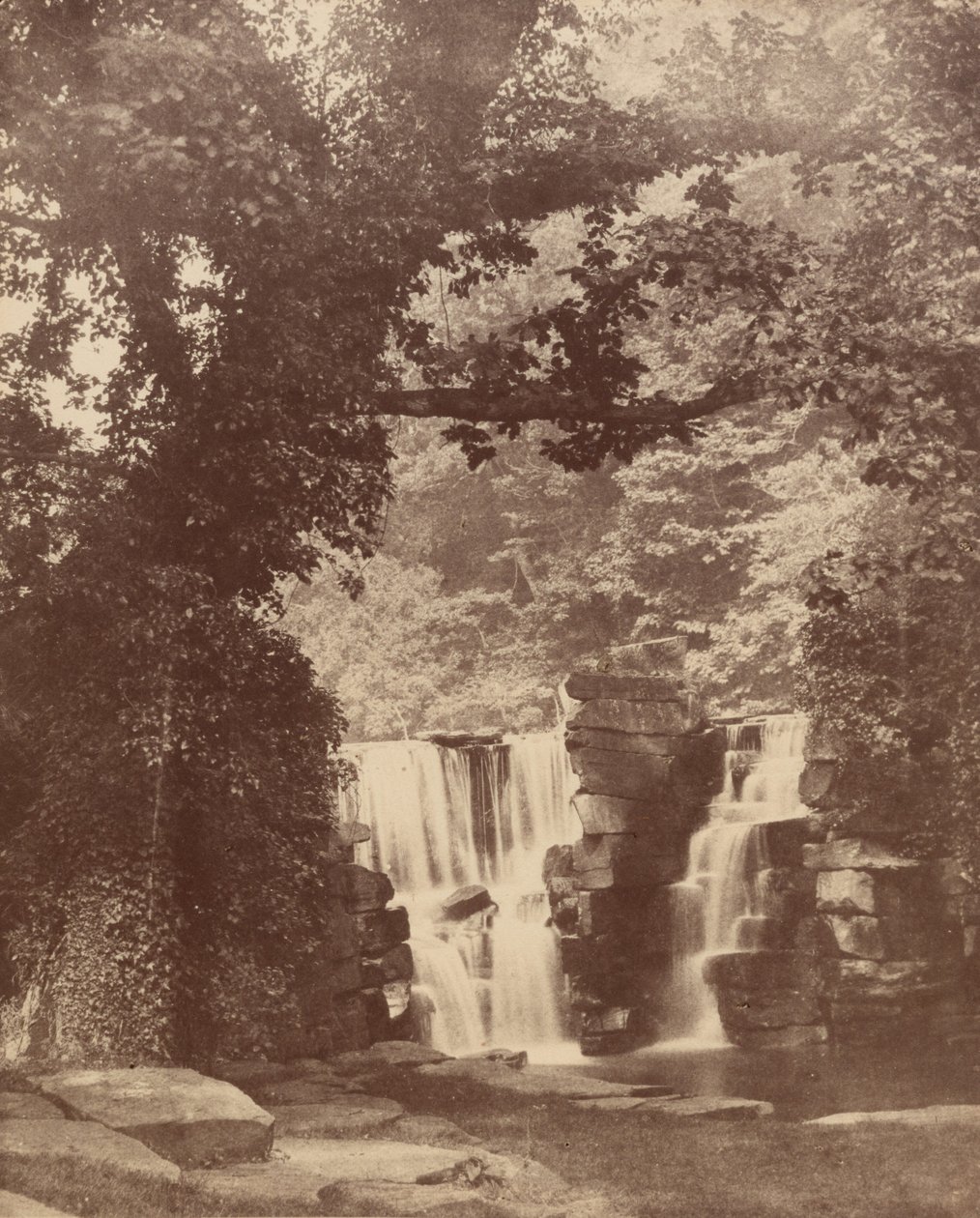 Det øvre vandfald, Penllergare Valley Woods, ca. 1852 (foto) af John Dillwyn Llewelyn