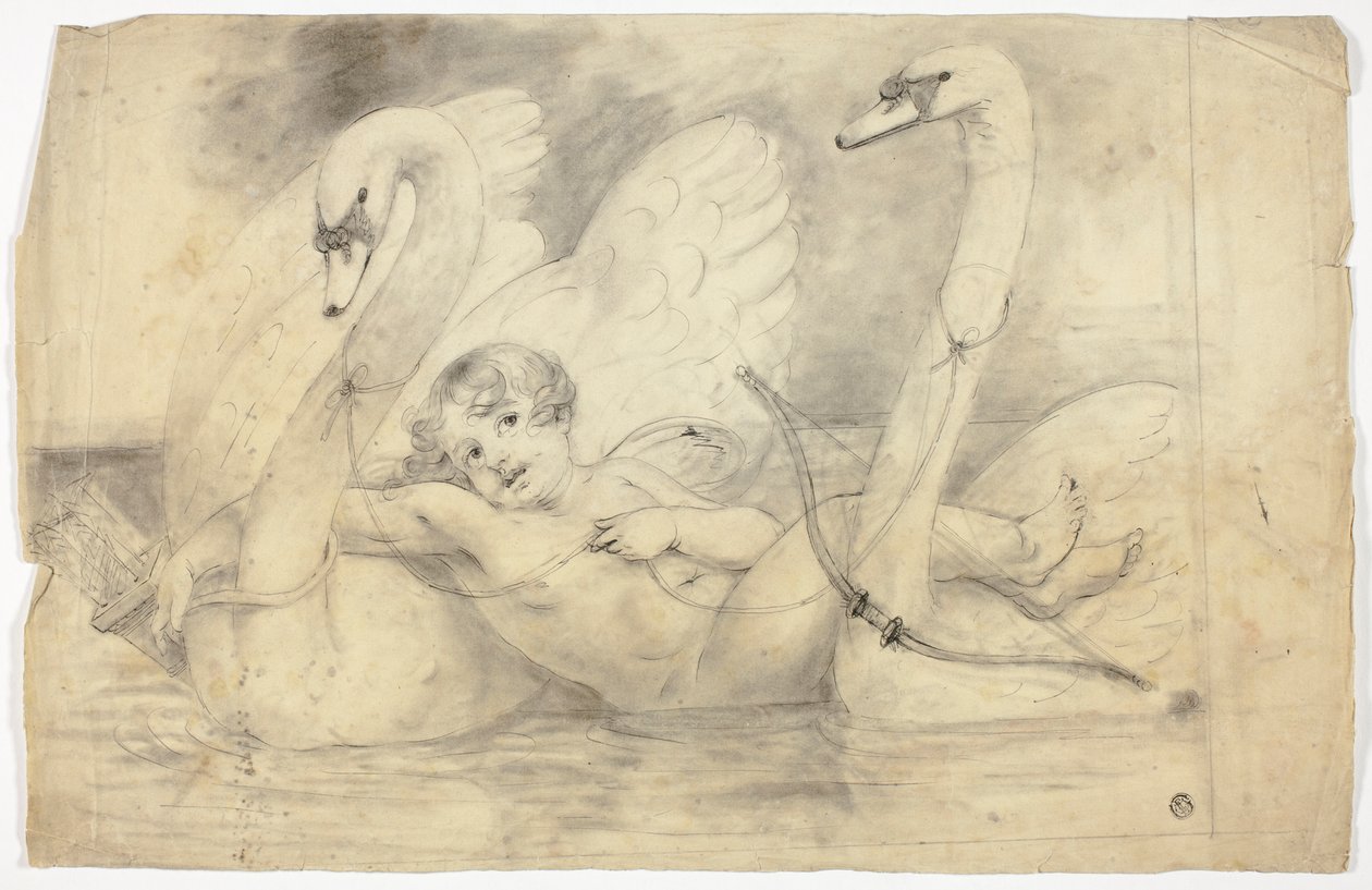 Amor og svaner af John Downman