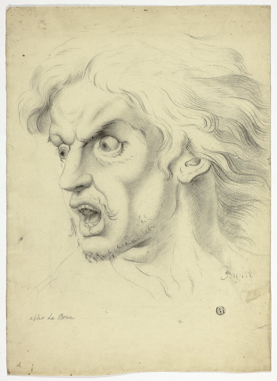 Frygt af John Downman