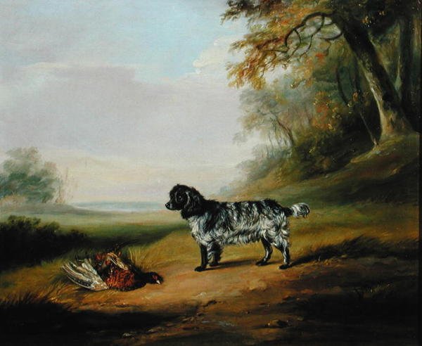 Landskab med en hund (olie på lærred) af John E. Ferneley